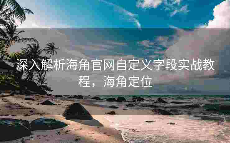 深入解析海角官网自定义字段实战教程，海角定位