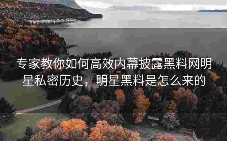 专家教你如何高效内幕披露黑料网明星私密历史，明星黑料是怎么来的