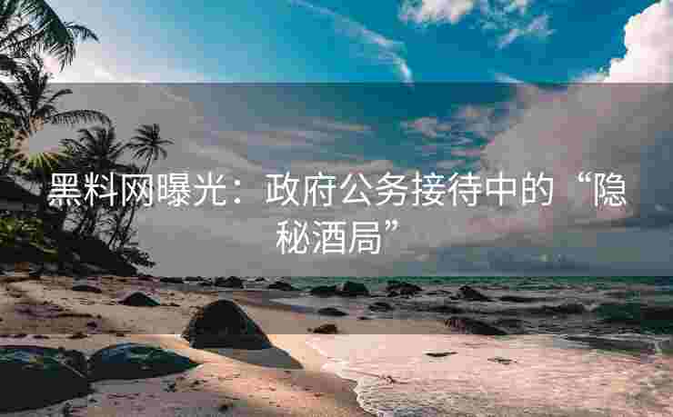 黑料网曝光：政府公务接待中的“隐秘酒局”