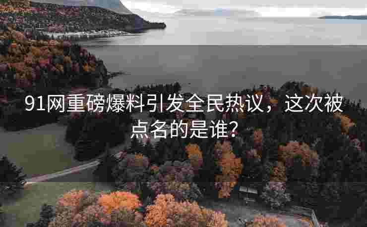 91网重磅爆料引发全民热议，这次被点名的是谁？