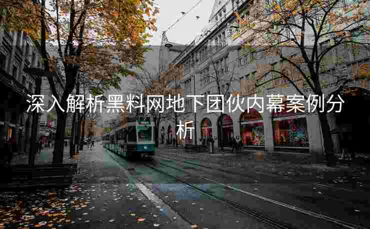 深入解析黑料网地下团伙内幕案例分析